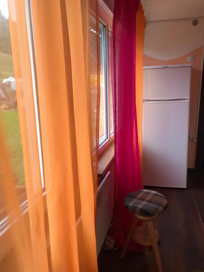 Карпатська Мавка Apartamento Vorokhta Exterior foto
